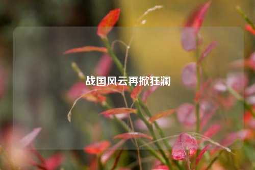 战国风云再掀狂澜