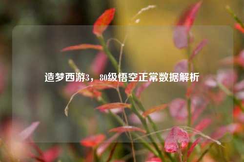 造梦西游3，80级悟空正常数据解析