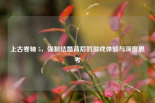 上古卷轴 5，强制结婚背后的游戏体验与深度思考