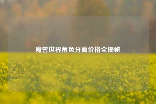 魔兽世界角色分离价格全揭秘