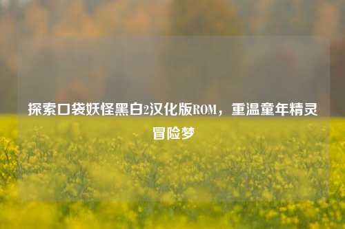 探索口袋妖怪黑白2汉化版ROM，重温童年精灵冒险梦