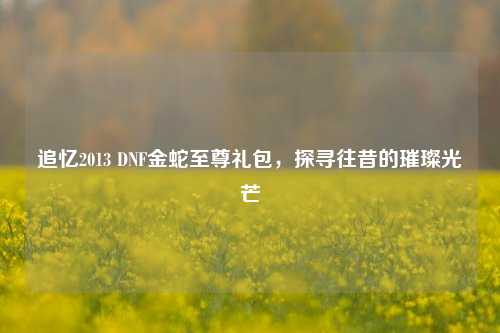 追忆2013 DNF金蛇至尊礼包，探寻往昔的璀璨光芒