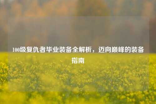 100级复仇者毕业装备全解析，迈向巅峰的装备指南