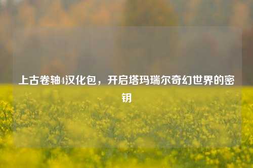 上古卷轴4汉化包，开启塔玛瑞尔奇幻世界的密钥