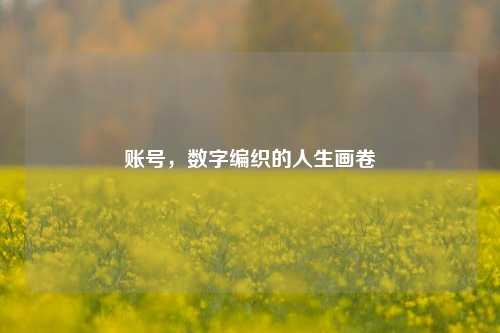 账号，数字编织的人生画卷