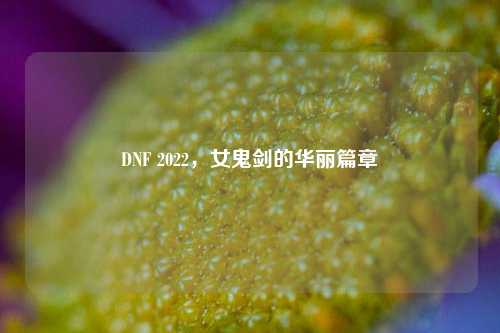 DNF 2022，女鬼剑的华丽篇章