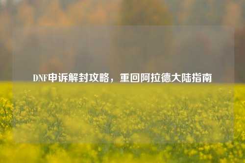 DNF申诉解封攻略，重回阿拉德大陆指南