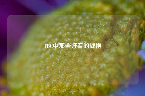 TBC中那些好看的战袍