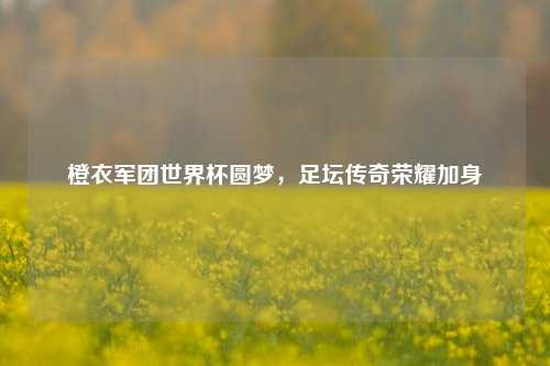 橙衣军团世界杯圆梦，足坛传奇荣耀加身