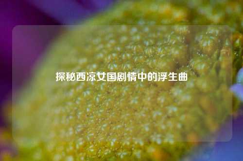 探秘西凉女国剧情中的浮生曲
