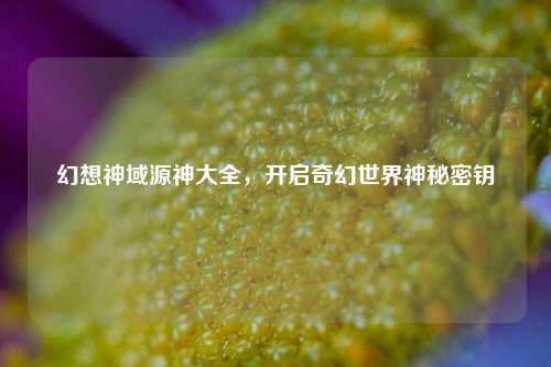 幻想神域源神大全，开启奇幻世界神秘密钥