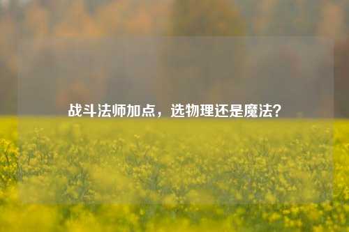 战斗法师加点,选物理还是魔法?