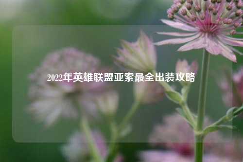 2022年英雄联盟亚索最全出装攻略