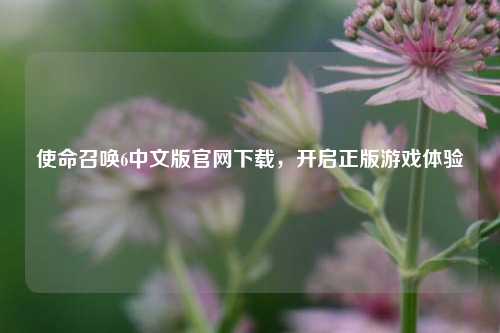 使命召唤6中文版官网下载，开启正版游戏体验