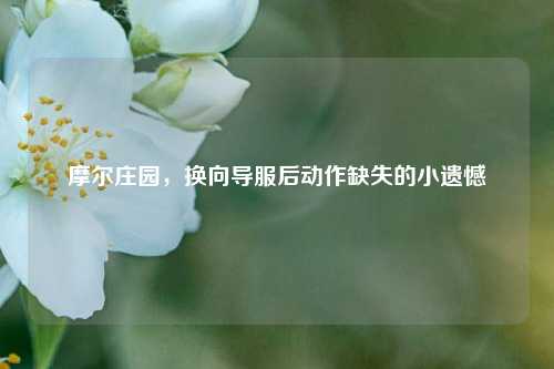 摩尔庄园，换向导服后动作缺失的小遗憾