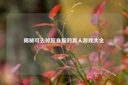 揭秘可去掉脱身服的真人游戏大全