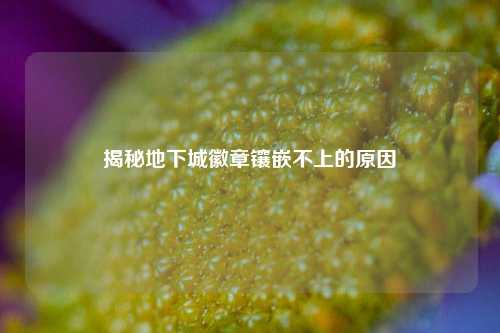 揭秘地下城徽章镶嵌不上的原因