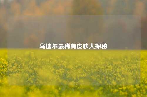 乌迪尔最稀有皮肤大探秘