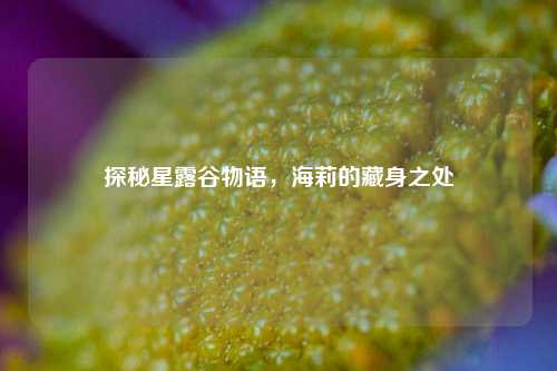 探秘星露谷物语，海莉的藏身之处