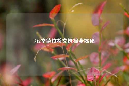 S12辛德拉符文选择全揭秘