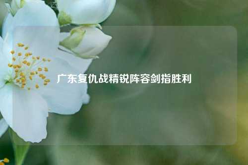 广东复仇战精锐阵容剑指胜利